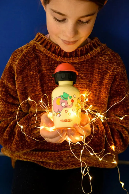 SIGG  _ Fantoni - 0.3L Sigg