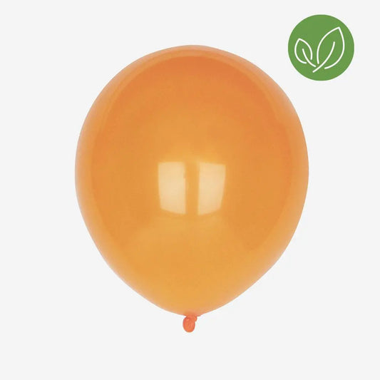 Sale latex balloons 10 orange balloons My Little Day