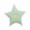 Velvet Star Cushion - Mint Meri Meri
