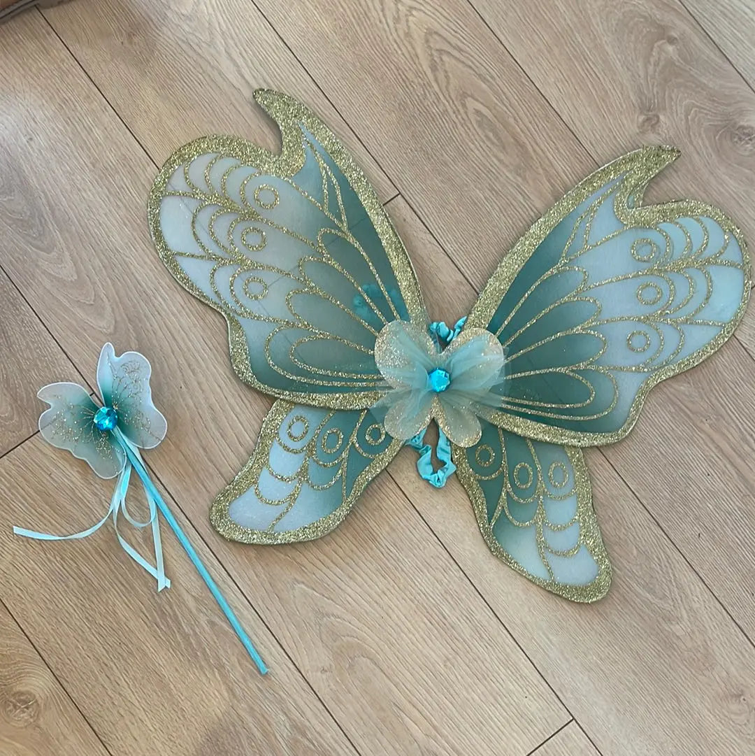 Wings and wand mint thepartyville